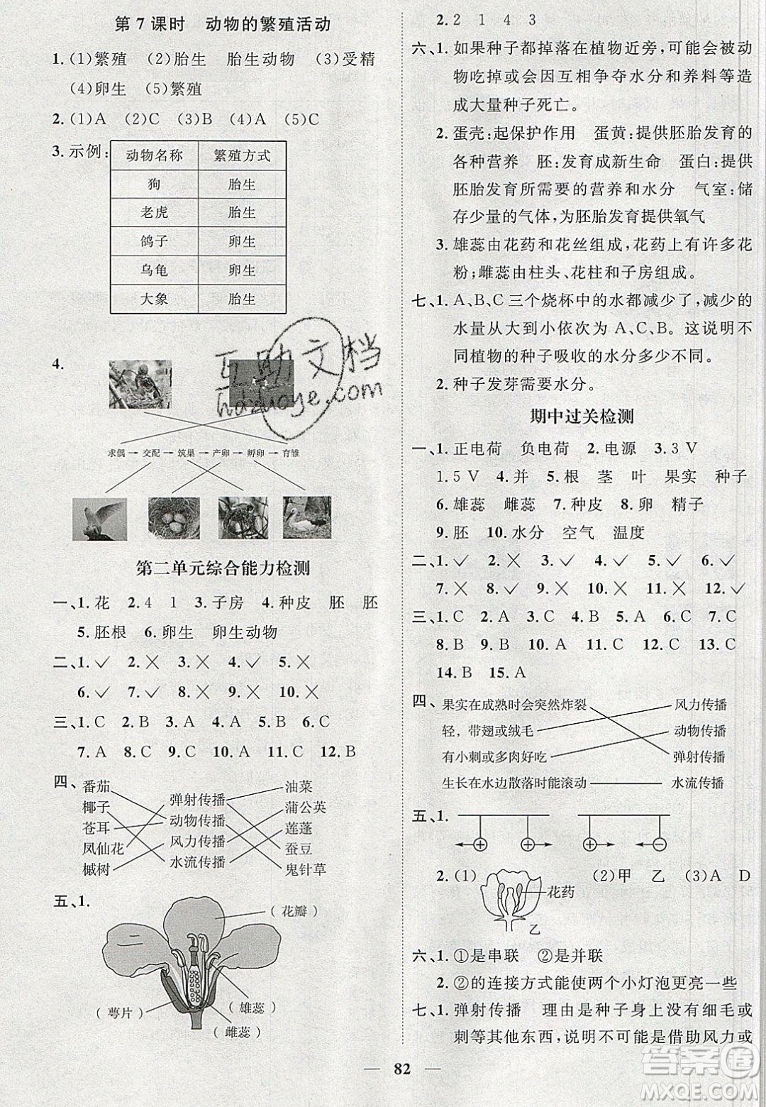 宇軒圖書2020春陽光同學課時優(yōu)化作業(yè)科學四年級下冊教科版答案