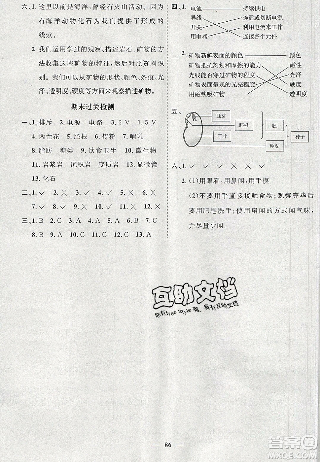 宇軒圖書2020春陽光同學課時優(yōu)化作業(yè)科學四年級下冊教科版答案