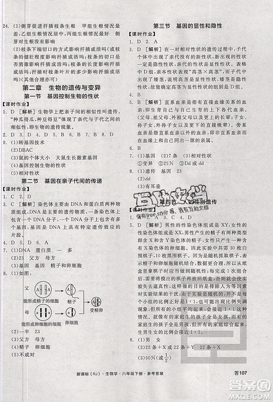 陽光出版社2020年全品學練考生物八年級下冊新課標RJ人教版答案