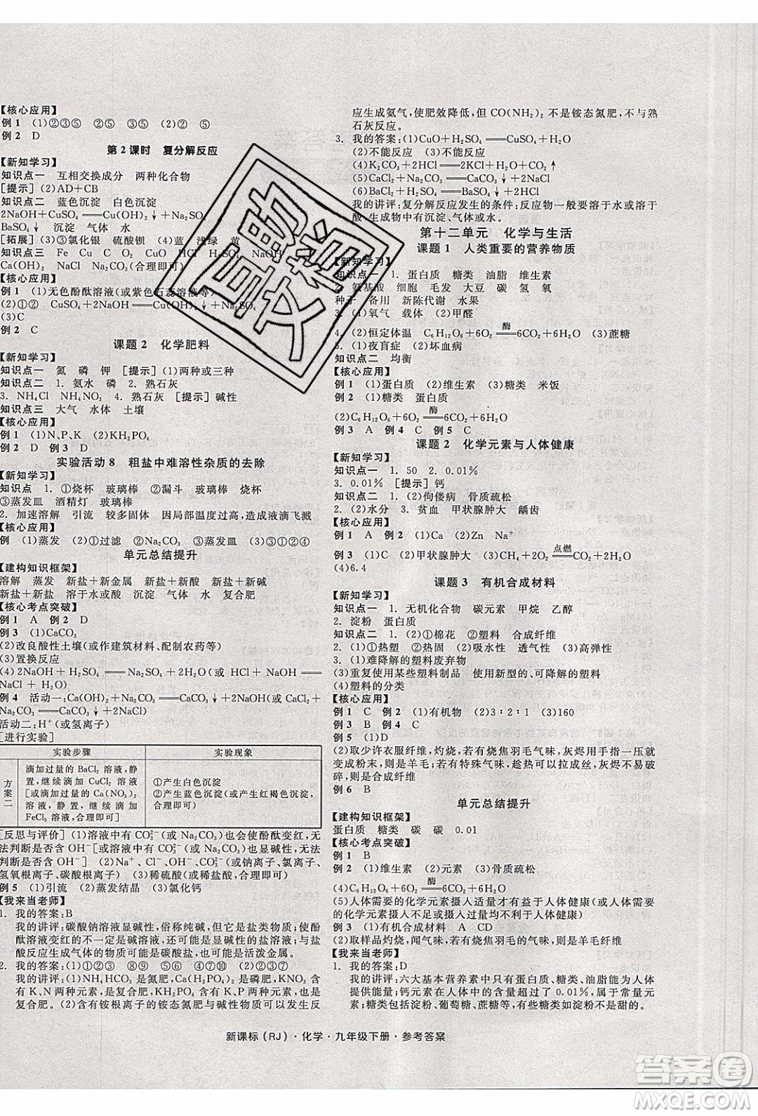 陽光出版社2020年全品學練考化學九年級下冊新課標RJ人教版答案