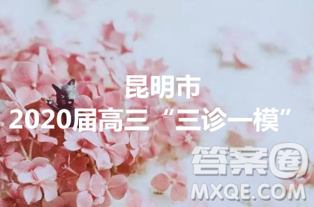 昆明市2020屆高三三診一模摸底診斷測試語文答案