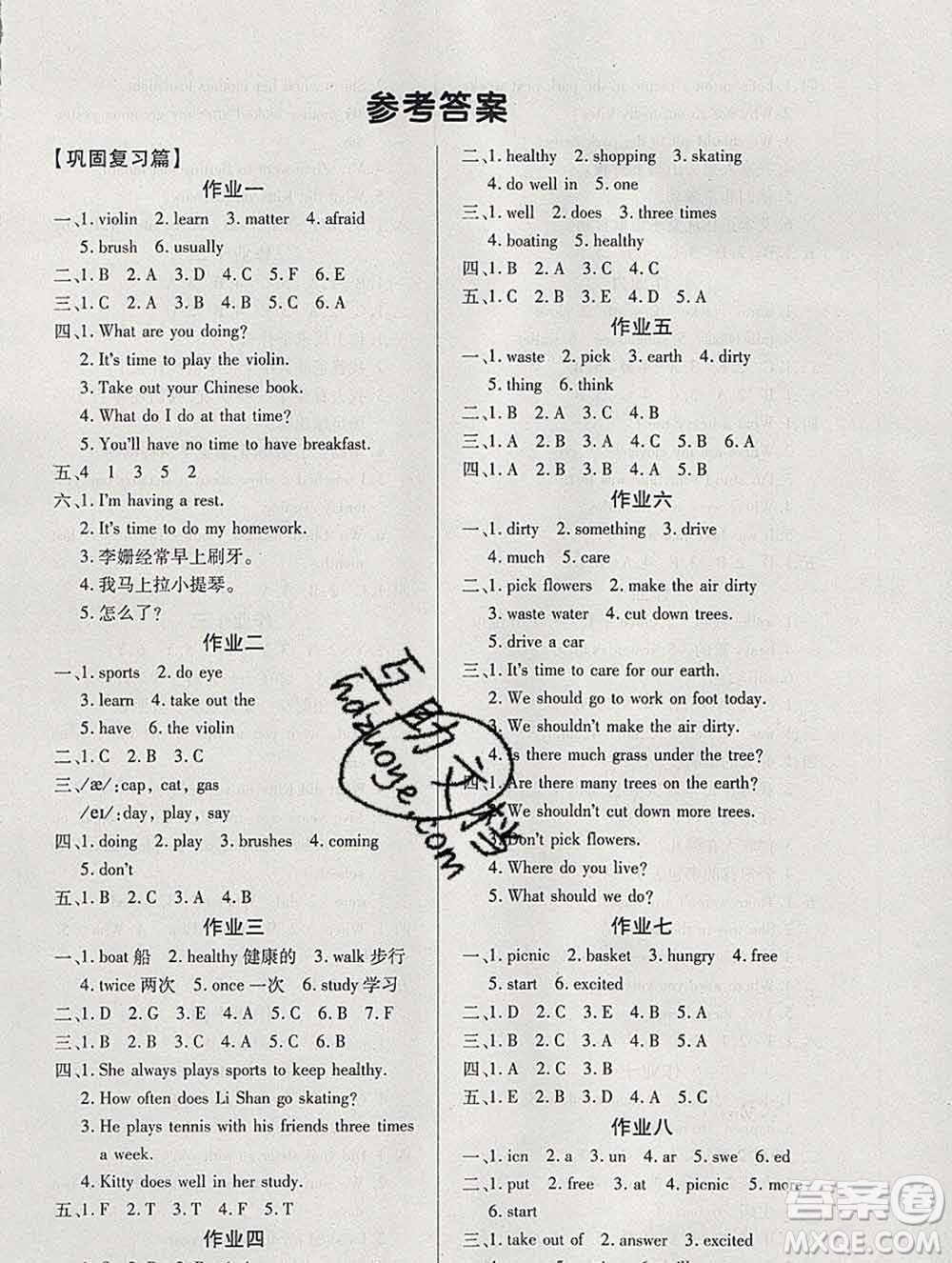 2020年金峰教育開心作業(yè)寒假作業(yè)六年級(jí)英語陜旅版答案