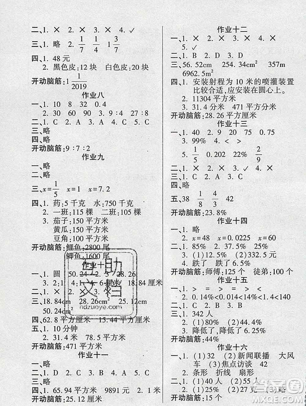 2020年金峰教育開心作業(yè)寒假作業(yè)六年級(jí)數(shù)學(xué)人教版答案