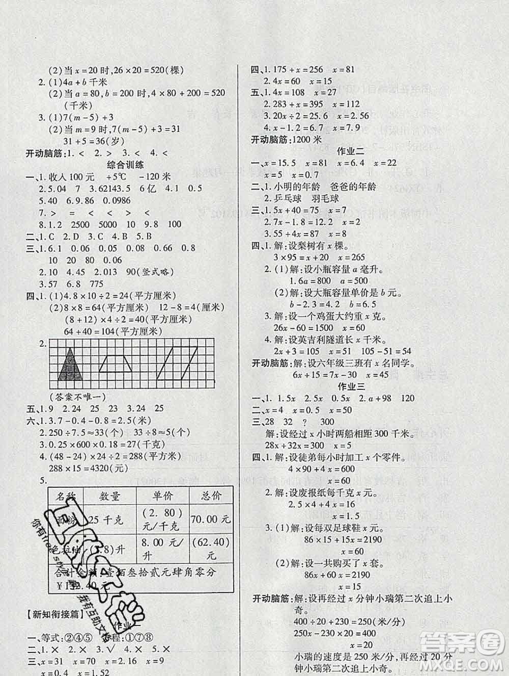 2020年金峰教育開(kāi)心作業(yè)寒假作業(yè)五年級(jí)數(shù)學(xué)蘇教版答案