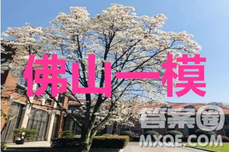 2019-2020學年佛山市普通高中高三教學質(zhì)量檢測一語文試題及答案