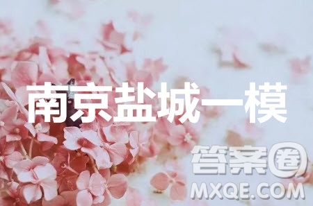 南京市鹽城市2020屆高三年級第一次模擬考試數(shù)學試題及答案