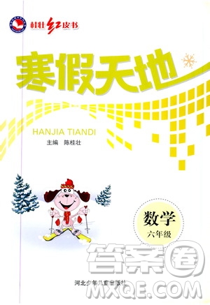 桂壯紅皮書2020年寒假天地?cái)?shù)學(xué)六年級(jí)參考答案