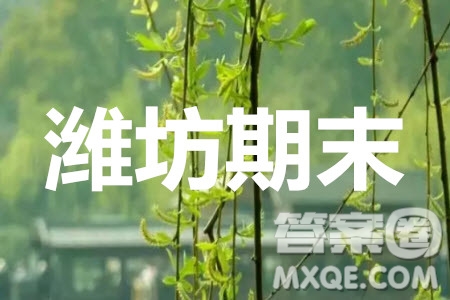 山東省濰坊市2020屆高三期末聯(lián)考語文答案
