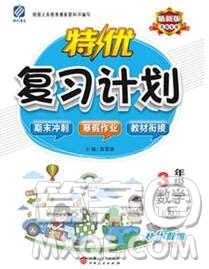 2020年特優(yōu)復(fù)習(xí)計(jì)劃期末沖刺寒假作業(yè)教材銜接三年級數(shù)學(xué)人教版答案