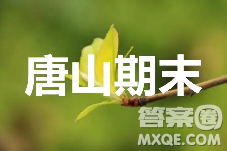 唐山市2019-2020學(xué)年度第一學(xué)期高三年級(jí)期末考試?yán)砜茢?shù)學(xué)試題及答案
