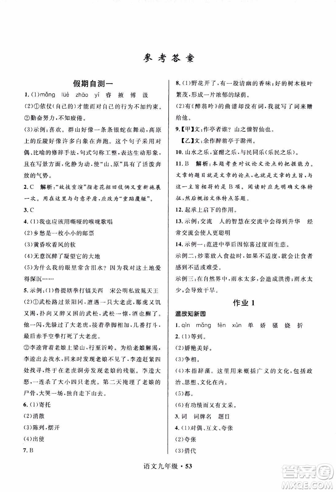 贏在起跑線2020年中學(xué)生快樂寒假語文9年級RJ人教版參考答案