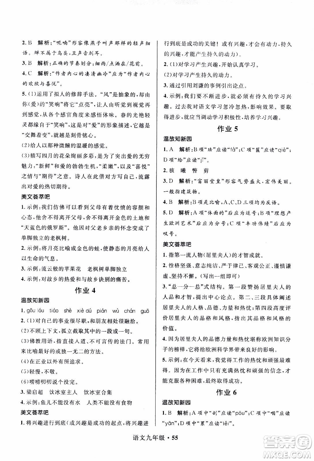 贏在起跑線2020年中學(xué)生快樂寒假語文9年級RJ人教版參考答案