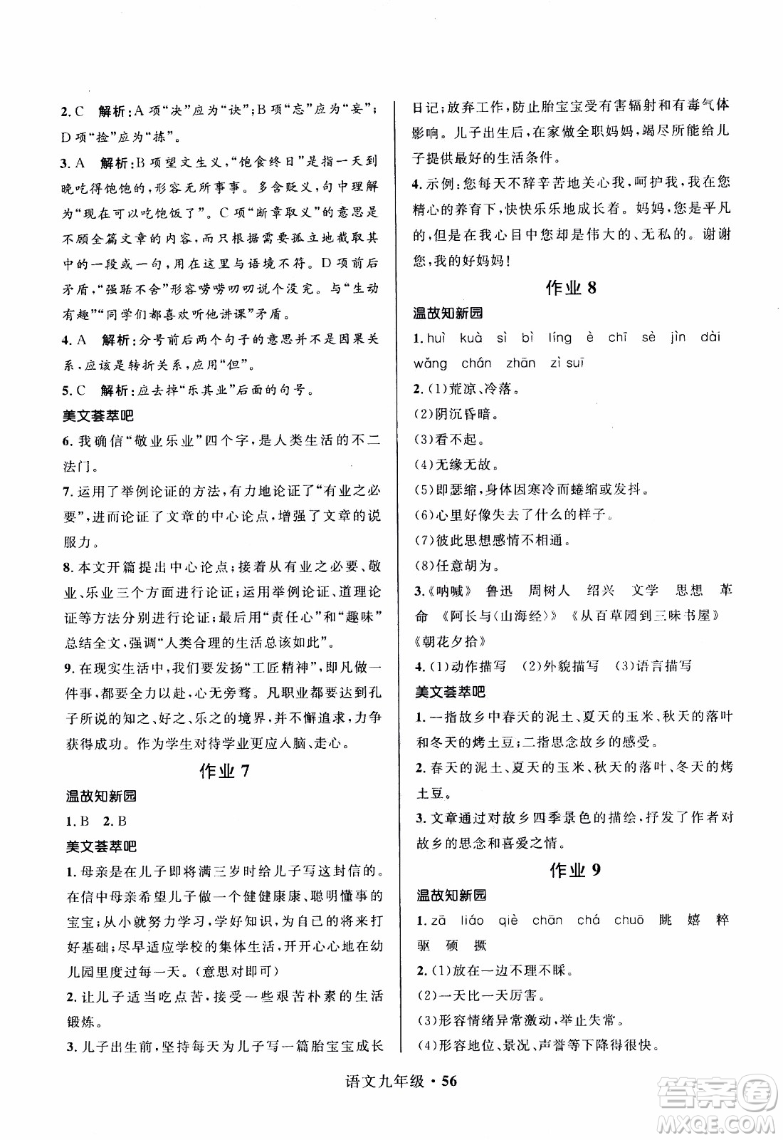 贏在起跑線2020年中學(xué)生快樂寒假語文9年級RJ人教版參考答案