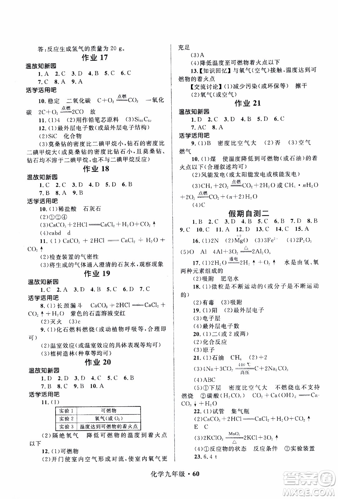 贏在起跑線2020年中學(xué)生快樂寒假化學(xué)9年級RJ人教版參考答案