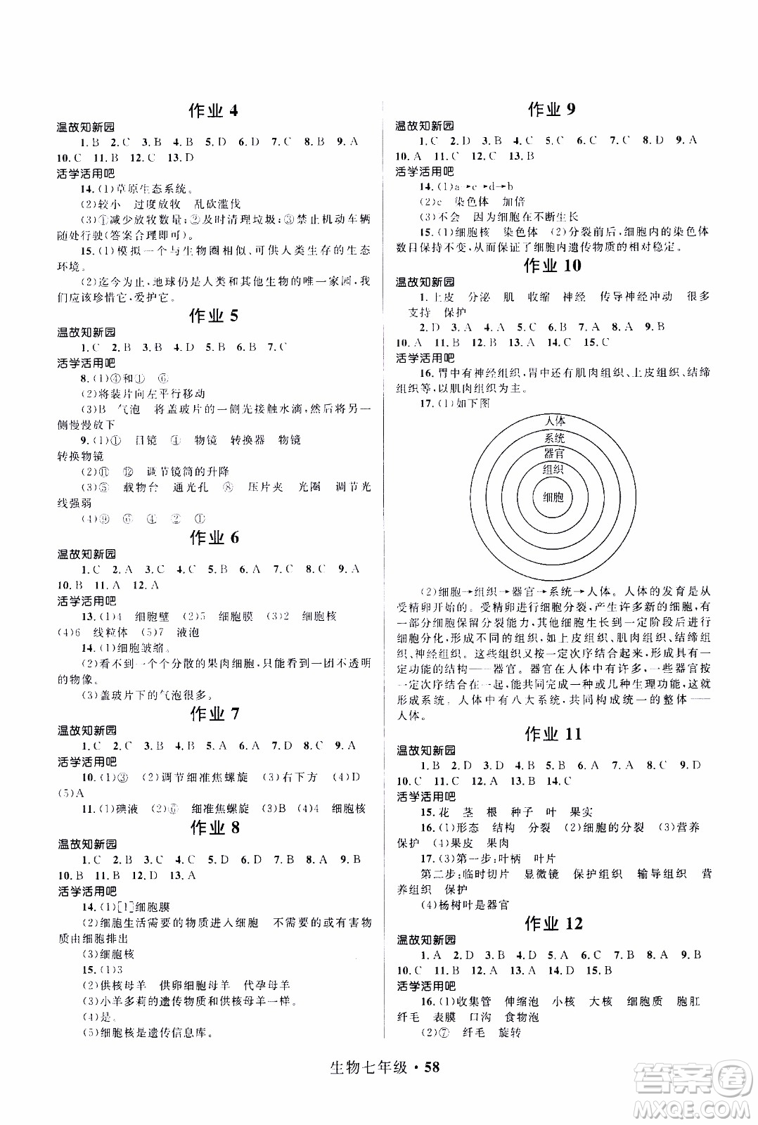 贏在起跑線2020年中學(xué)生快樂(lè)寒假生物7年級(jí)RJ人教版參考答案