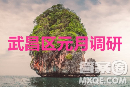 武昌區(qū)2020屆高三元月調(diào)考英語答案