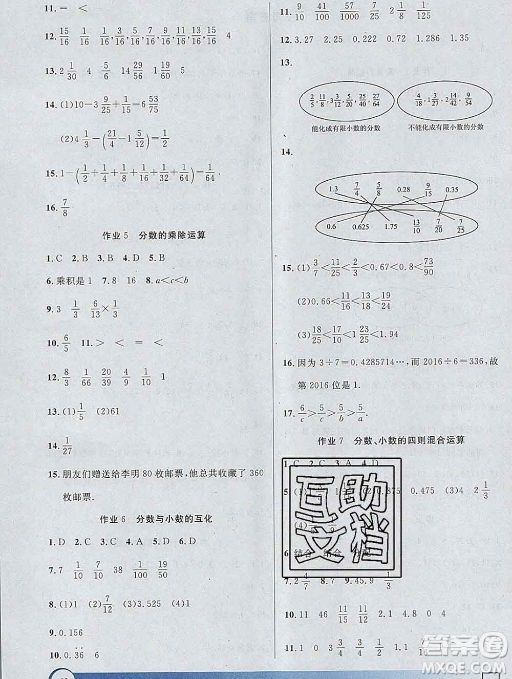 2020年鐘書金牌寒假作業(yè)導(dǎo)與練六年級數(shù)學(xué)上海專版答案