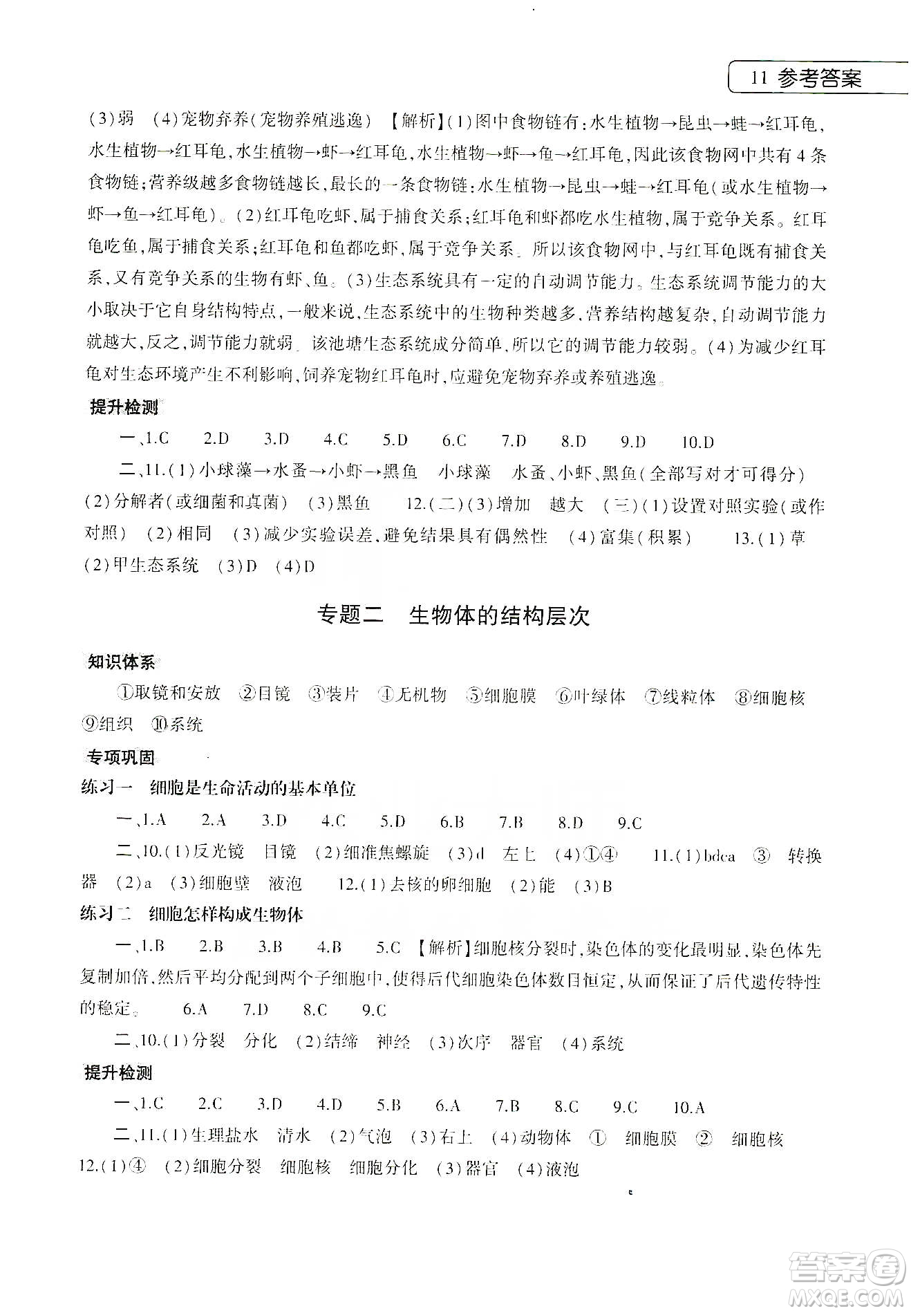 大象出版社2020寒假作業(yè)本七年級數(shù)學(xué)地理生物學(xué)合訂本答案