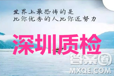 深圳2020屆高三年級(jí)第二次教學(xué)質(zhì)量檢測理科數(shù)學(xué)試題及答案