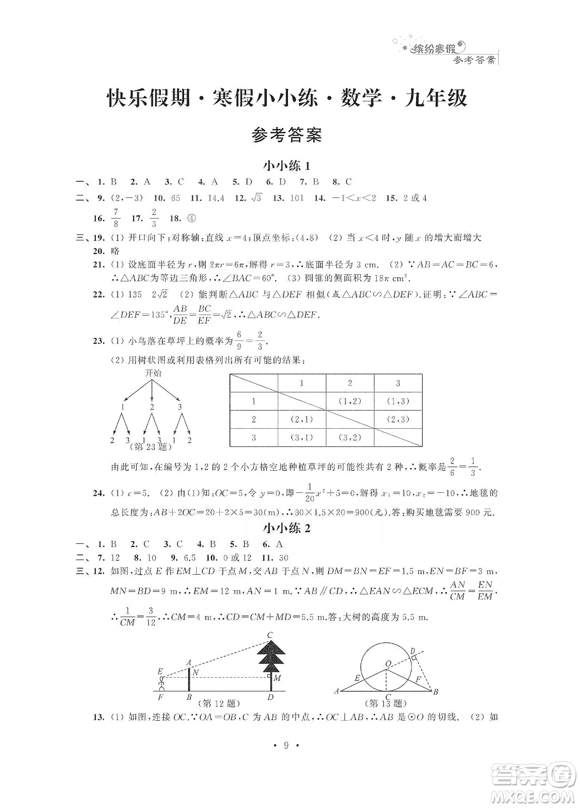 江蘇鳳凰科學(xué)技術(shù)出版社2020快樂假期寒假小小練九年級語文數(shù)學(xué)英語物理化學(xué)合訂本答案