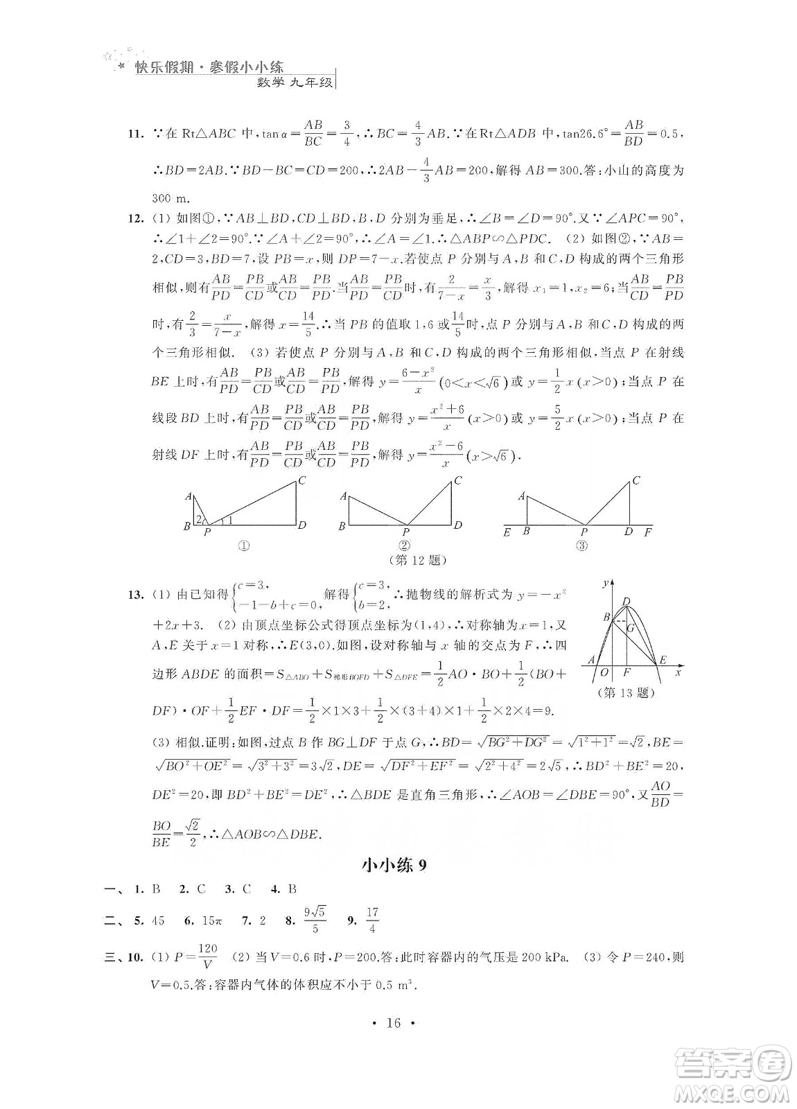 江蘇鳳凰科學(xué)技術(shù)出版社2020快樂假期寒假小小練九年級語文數(shù)學(xué)英語物理化學(xué)合訂本答案