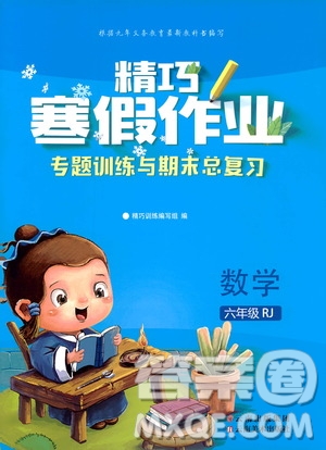 云南美術(shù)出版社2020精巧寒假作業(yè)專題訓(xùn)練與期末總復(fù)習(xí)六年級數(shù)學(xué)人教版答案