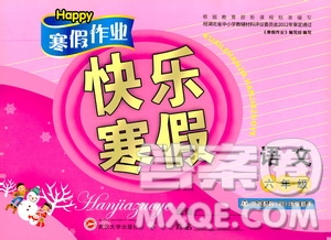 happy寒假作業(yè)2020快樂寒假六年級語文答案