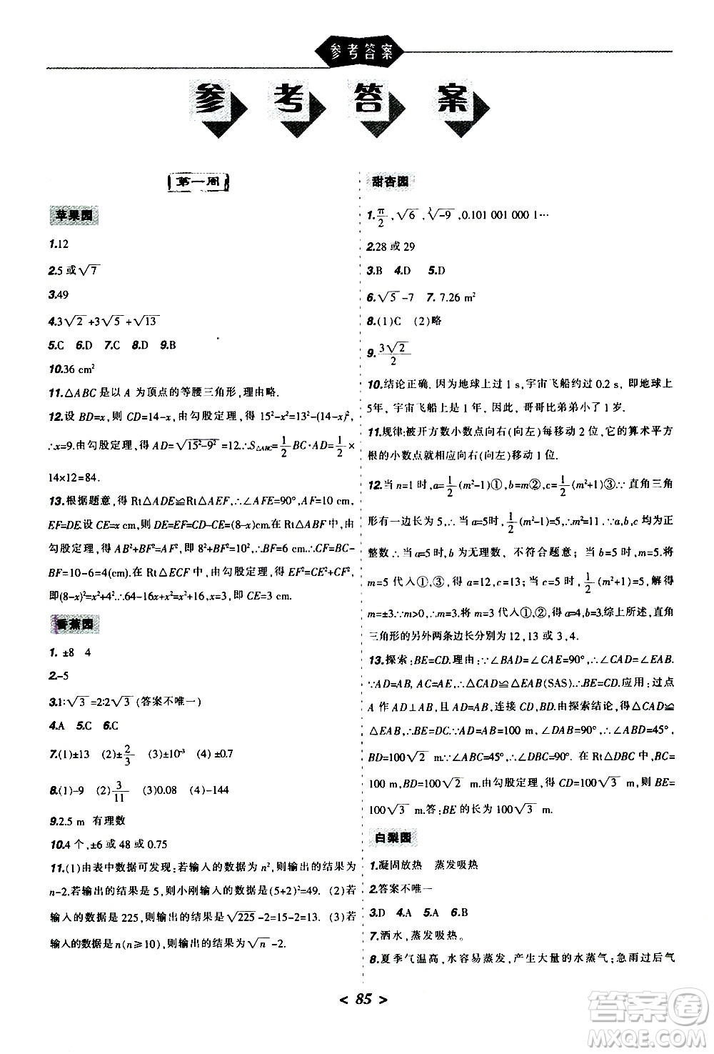 遼寧師范大學(xué)出版社2020年寒假樂(lè)園八年級(jí)理科版參考答案