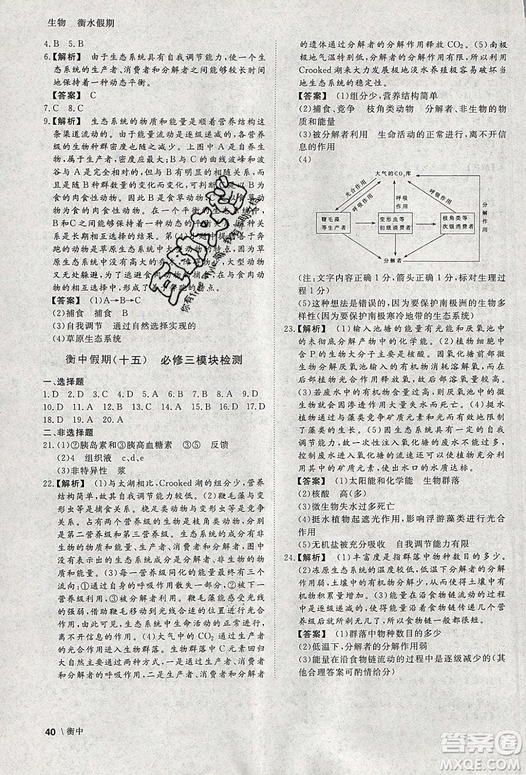光明日報出版社2020年衡水假期寒假作業(yè)高二生物參考答案