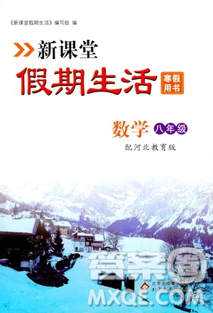 北京教育出版社2020新課堂假期生活寒假用書八年級數(shù)學河北教育版答案