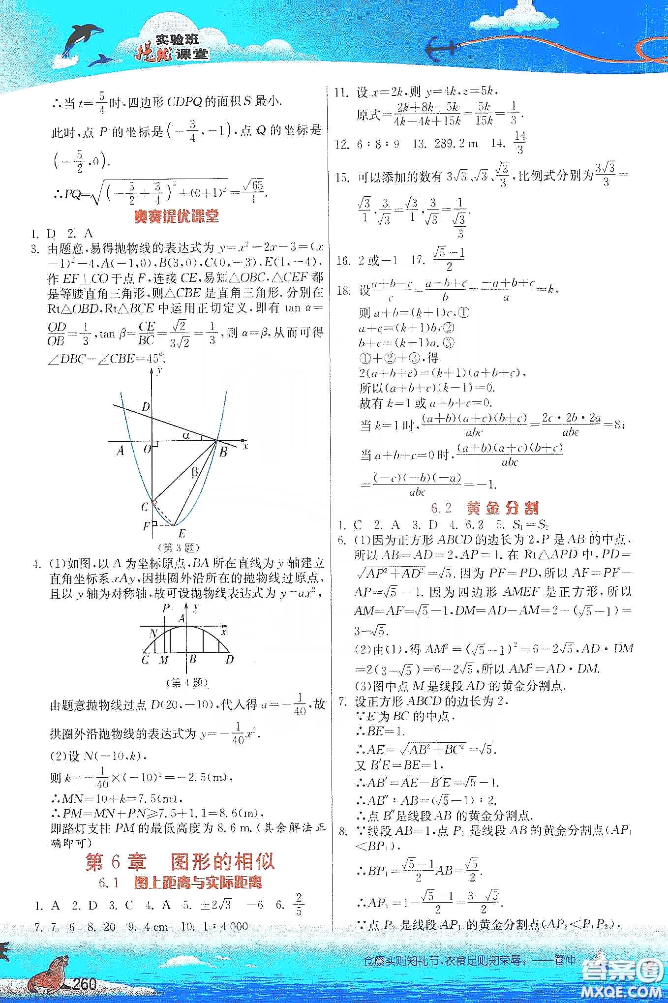 江蘇人民出版社2020實驗班提優(yōu)課堂九年級數(shù)學(xué)下冊江蘇科教版答案