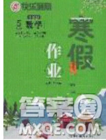 延邊教育出版社2020年快樂(lè)假期寒假作業(yè)五年級(jí)數(shù)學(xué)江蘇版參考答案