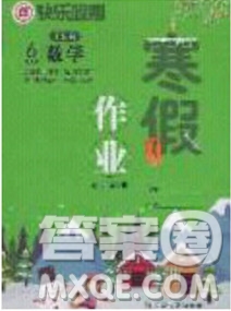 延邊教育出版社2020年快樂假期寒假作業(yè)六年級數(shù)學江蘇版參考答案