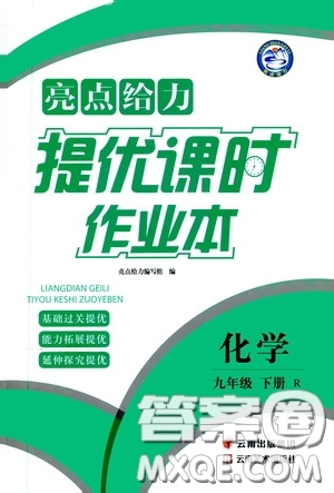 云南美術(shù)出版社2020亮點(diǎn)給力提優(yōu)課時(shí)作業(yè)本九年級化學(xué)下冊人教版答案