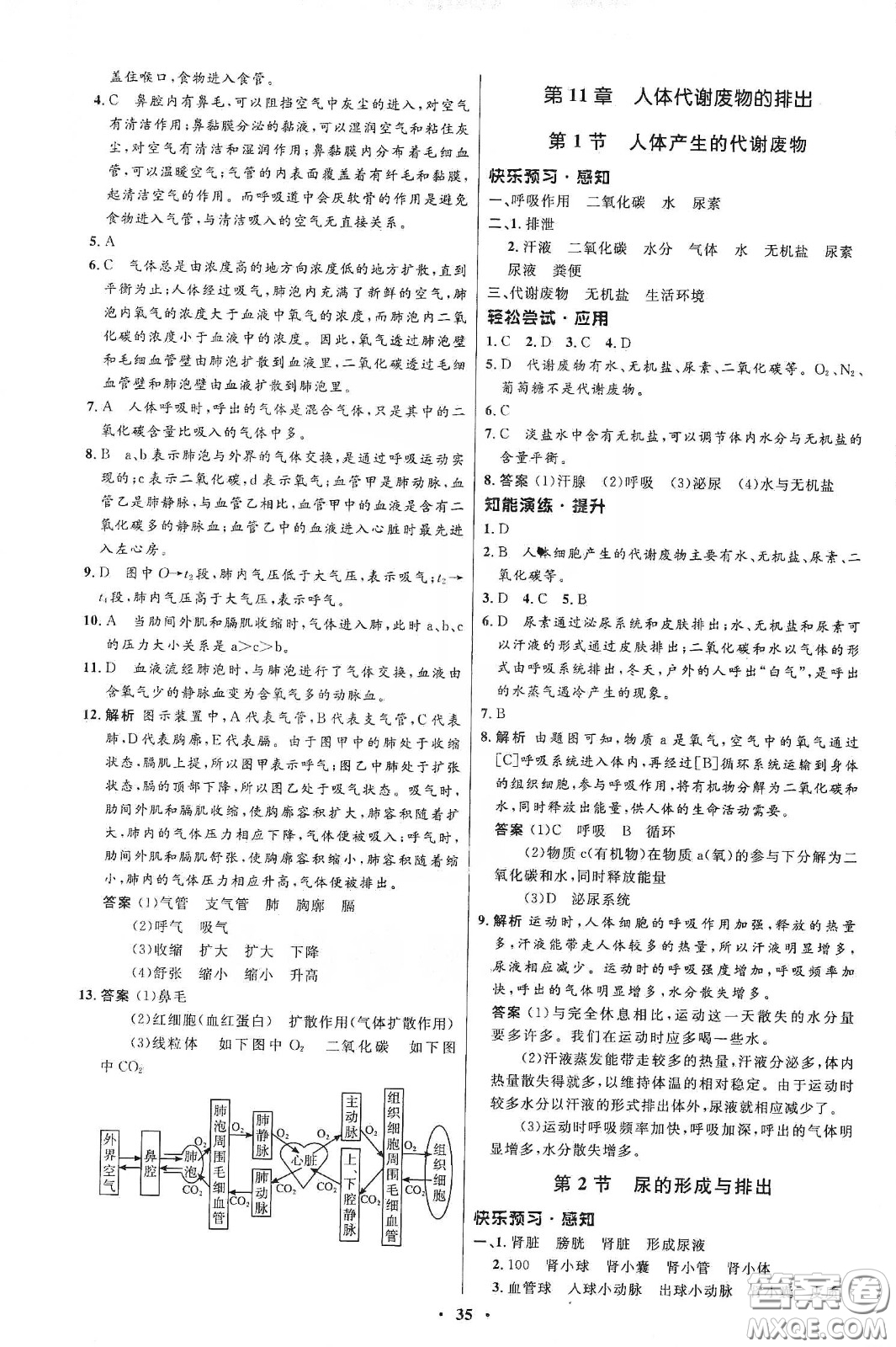 北京師范大學(xué)出版社2020初中同步測控優(yōu)化設(shè)計(jì)七年級(jí)生物學(xué)下冊(cè)北師大版答案
