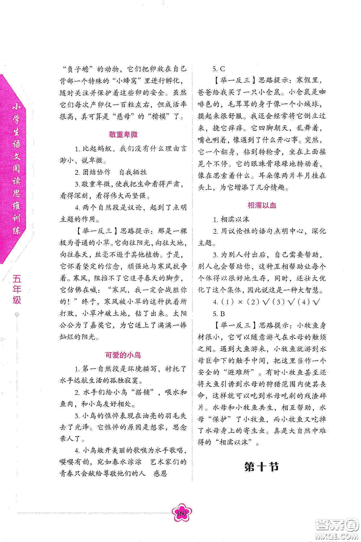 華語教學出版社2020小學生語文閱讀思維訓練五年級答案