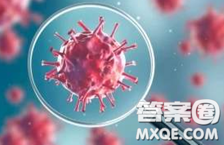 新型冠狀病毒英語詞匯翻譯 新型冠狀病毒英語介紹