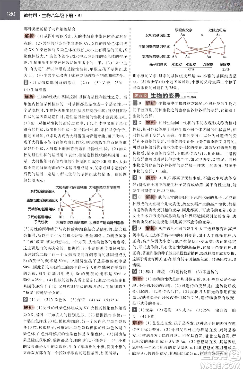2020年教材幫初中生物八年級(jí)下冊RJ人教版參考答案