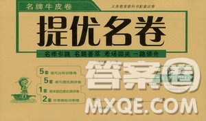 春雨教育2020名牌牛皮卷提優(yōu)名卷九年級化學(xué)下冊人民教育版答案
