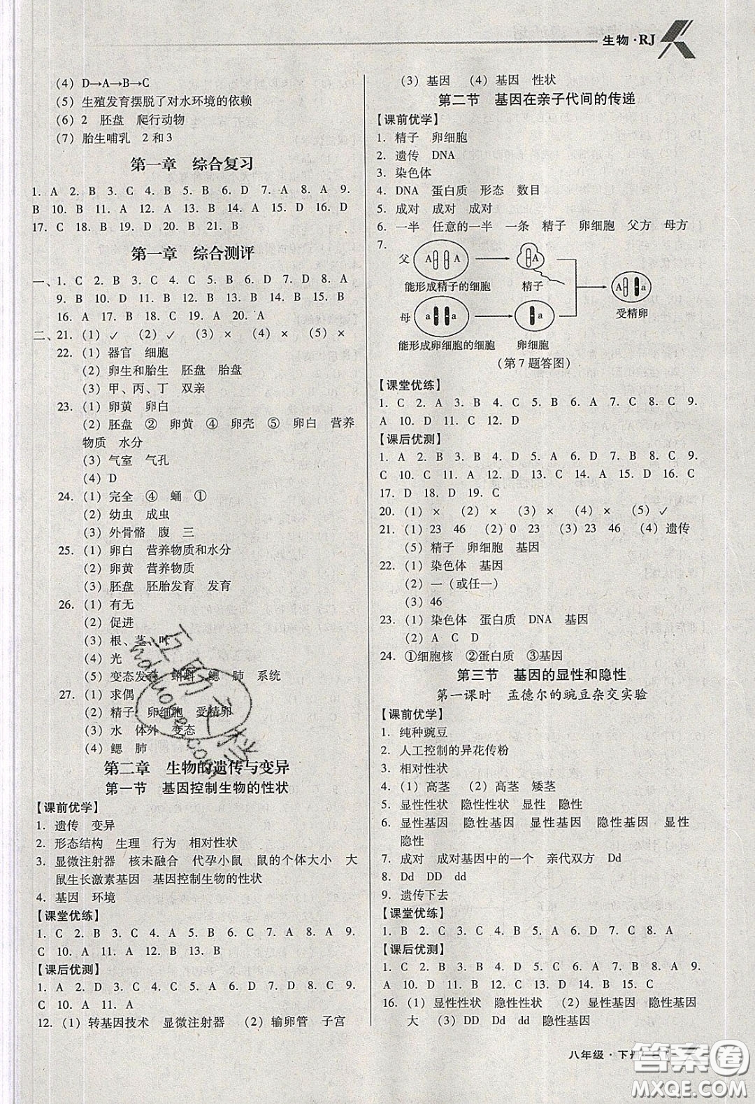 遼海出版社2020全優(yōu)點(diǎn)練課計(jì)劃八年級(jí)生物下冊(cè)人教版答案