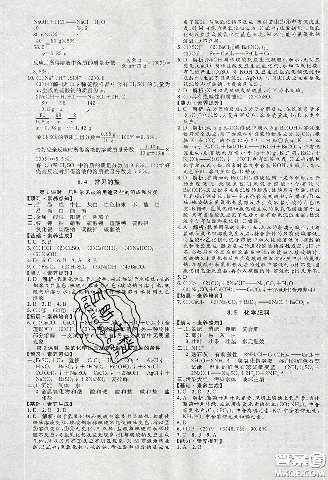 2020春優(yōu)加學案課時通九年級化學下冊Y版答案
