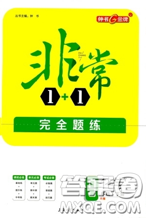 鐘書金牌2020年非常1+1完全題練九年級下冊化學(xué)R版人教版參考答案