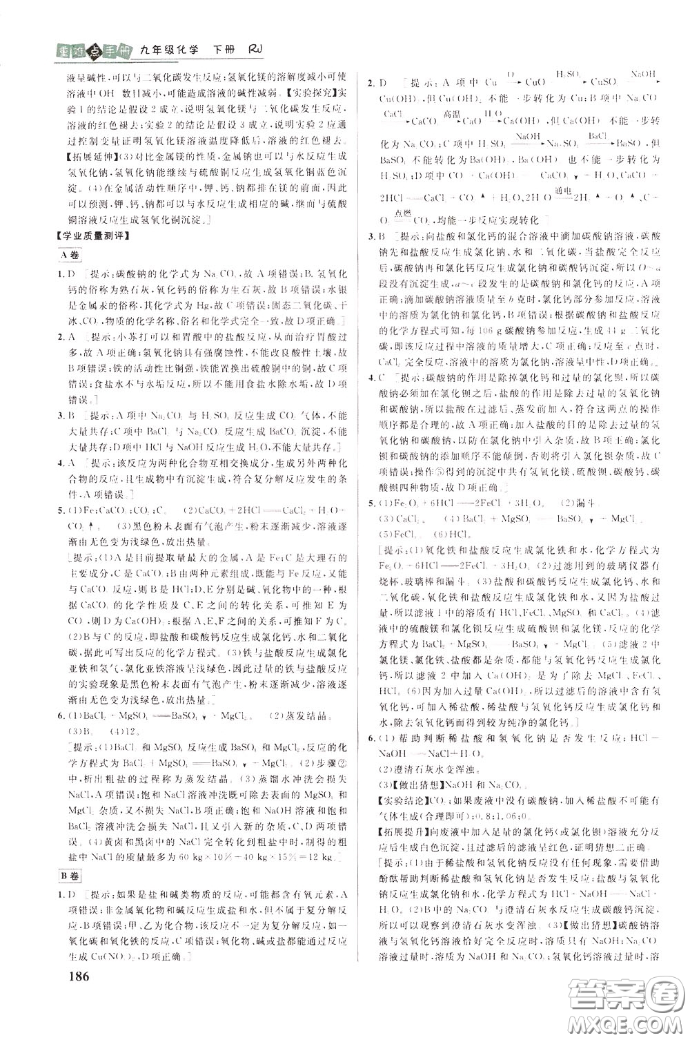 華中師范大學(xué)出版社2020年重難點(diǎn)手冊九年級化學(xué)下冊RJ人教版參考答案