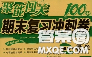 2020春聚能闖關(guān)100分期末復(fù)習(xí)沖刺卷七年級下冊數(shù)學(xué)RJ人教版參考答案