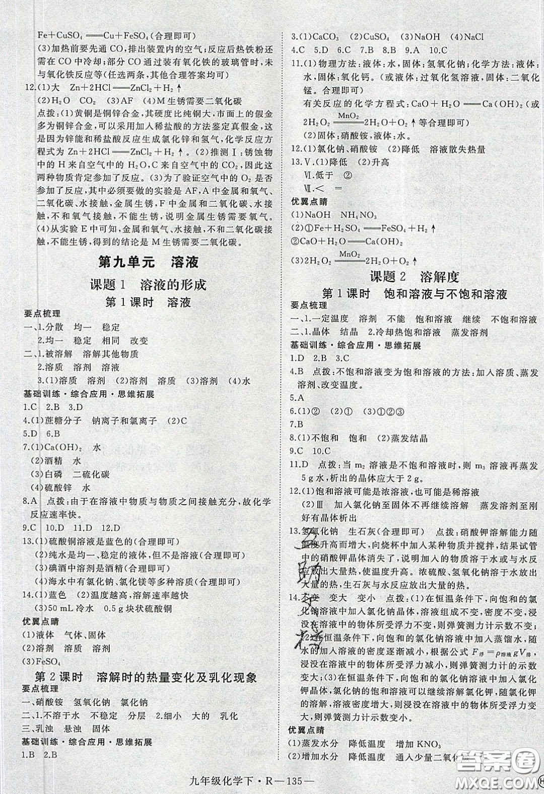 河南專用2020春優(yōu)翼學練優(yōu)九年級化學下冊人教版答案