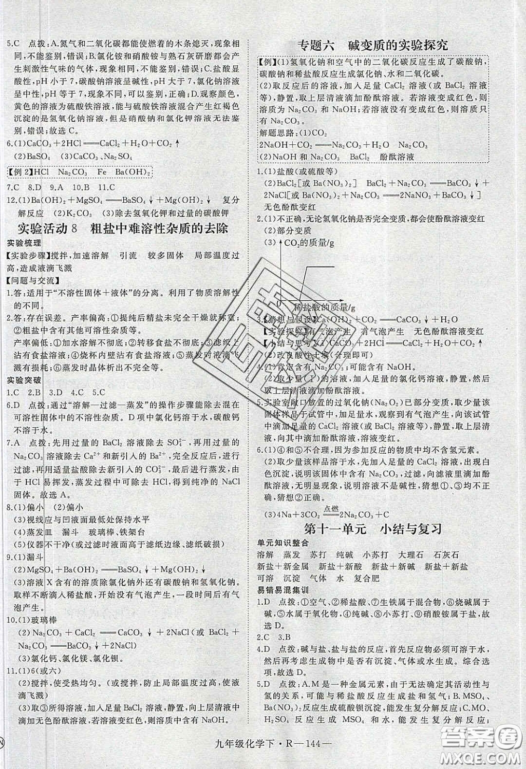河南專用2020春優(yōu)翼學練優(yōu)九年級化學下冊人教版答案