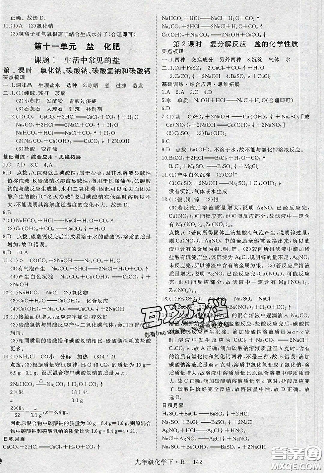 河南專用2020春優(yōu)翼學練優(yōu)九年級化學下冊人教版答案