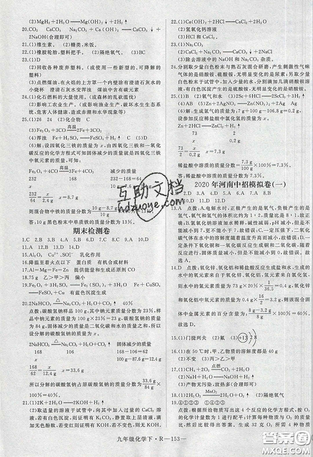 河南專用2020春優(yōu)翼學練優(yōu)九年級化學下冊人教版答案