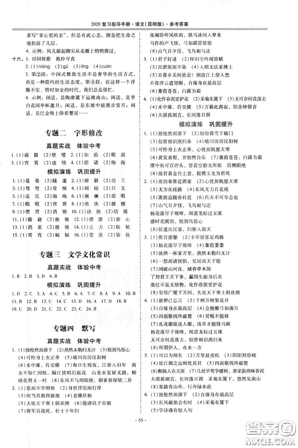 2020年昆明市初中學業(yè)水平考試復習指導手冊語文考點復習參考答案