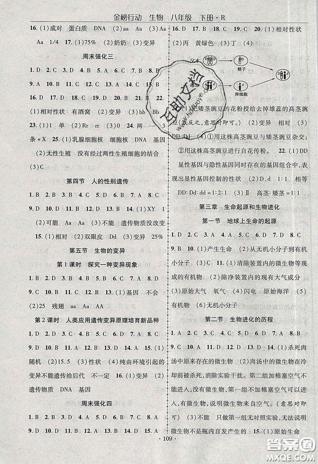 海韻圖書2020年金榜行動課時導(dǎo)學(xué)案八年級生物下冊人教版答案